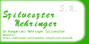 szilveszter mehringer business card